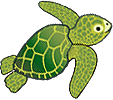 Paddle the sea turtle looking for
                            jellies in the game app "Jelly
                            Hunt"